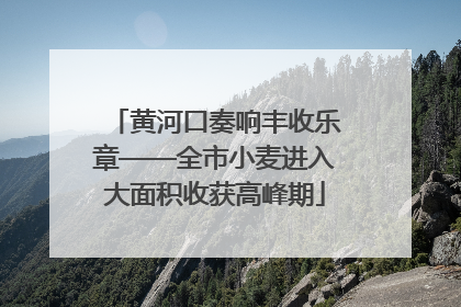 黄河口奏响丰收乐章——全市小麦进入大面积收获高峰期