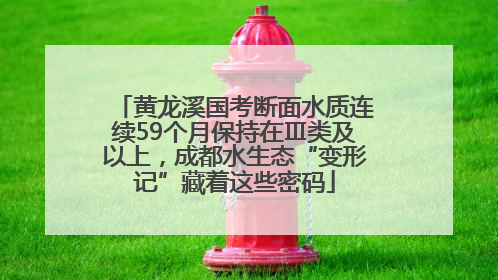 黄龙溪国考断面水质连续59个月保持在Ⅲ类及以上，成都水生态“变形记”藏着这些密码