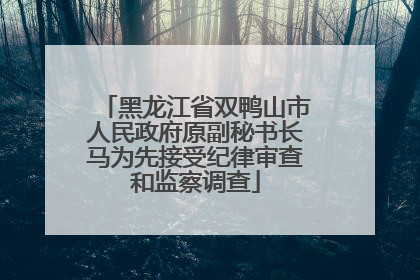 黑龙江省双鸭山市人民政府原副秘书长马为先接受纪律审查和监察调查