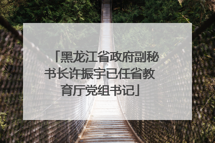 黑龙江省政府副秘书长许振宇已任省教育厅党组书记