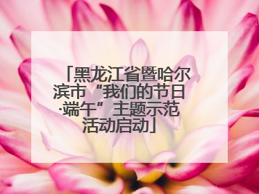 黑龙江省暨哈尔滨市“我们的节日·端午”主题示范活动启动