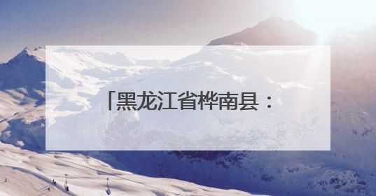 黑龙江省桦南县：“一站式”服务解民忧 群众点赞“家门口的便利”