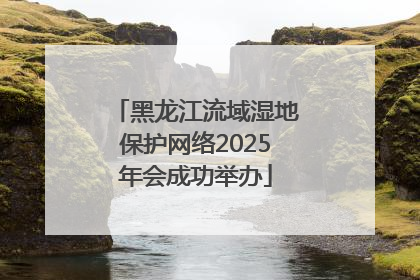 黑龙江流域湿地保护网络2025年会成功举办