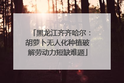 黑龙江齐齐哈尔：胡萝卜无人化种植破解劳动力短缺难题
