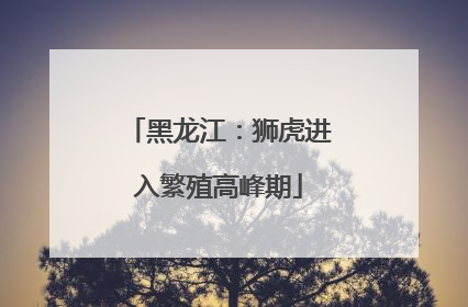 黑龙江：狮虎进入繁殖高峰期
