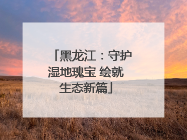 黑龙江：守护湿地瑰宝 绘就生态新篇