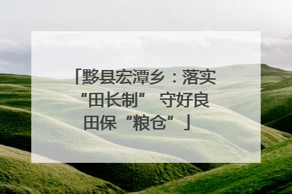 黟县宏潭乡：落实“田长制” 守好良田保“粮仓”