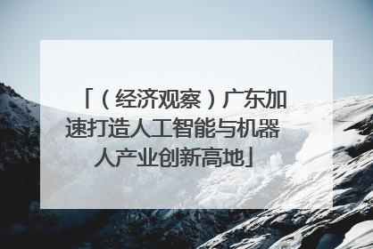 （经济观察）广东加速打造人工智能与机器人产业创新高地