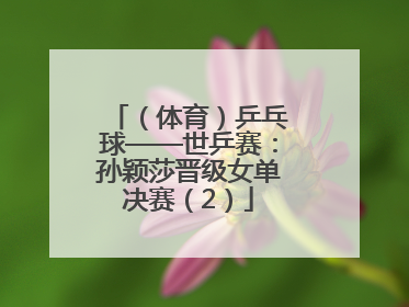 （体育）乒乓球——世乒赛：孙颖莎晋级女单决赛（2）