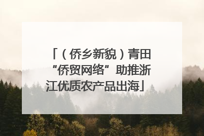 （侨乡新貌）青田“侨贸网络”助推浙江优质农产品出海