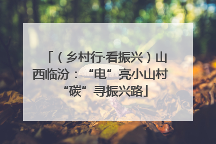 （乡村行·看振兴）山西临汾：“电”亮小山村 “碳”寻振兴路