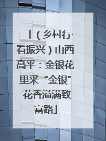 （乡村行·看振兴）山西高平：金银花里采“金银” 花香溢满致富路