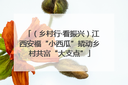 （乡村行·看振兴）江西安福“小西瓜”撬动乡村共富“大支点”
