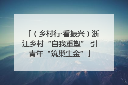 （乡村行·看振兴）浙江乡村“自我重塑” 引青年“筑巢生金”