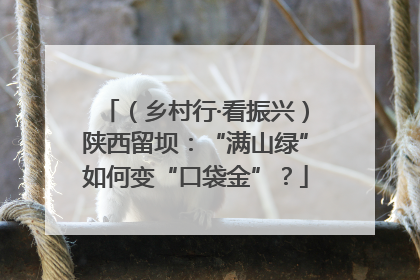 （乡村行·看振兴）陕西留坝：“满山绿”如何变“口袋金”？