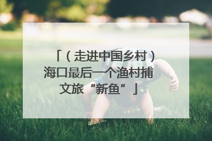 （走进中国乡村）海口最后一个渔村捕文旅“新鱼”