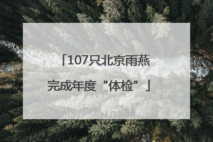 107只北京雨燕完成年度“体检”
