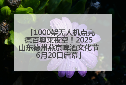 1000架无人机点亮德百奥莱夜空！2025山东德州燕京啤酒文化节6月20日启幕