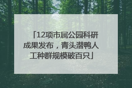 12项市属公园科研成果发布，青头潜鸭人工种群规模破百只