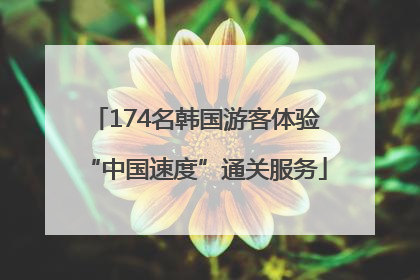 174名韩国游客体验“中国速度”通关服务