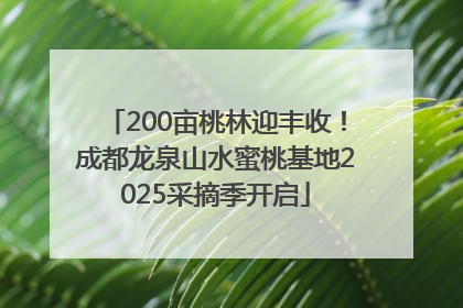 200亩桃林迎丰收！成都龙泉山水蜜桃基地2025采摘季开启