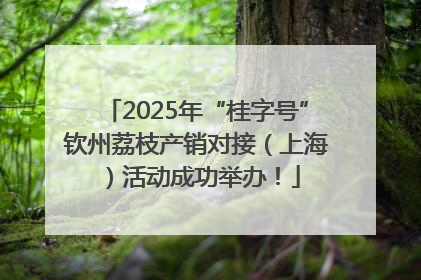 2025年“桂字号”钦州荔枝产销对接（上海）活动成功举办！
