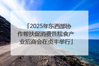 2025年东西部协作帮扶促消费暨糯食产业招商会在贞丰举行