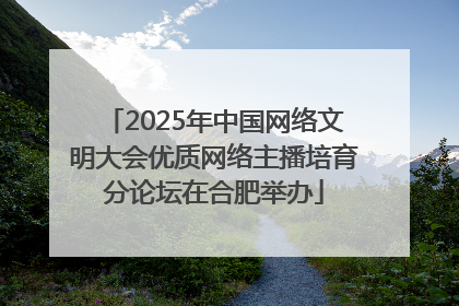 2025年中国网络文明大会优质网络主播培育分论坛在合肥举办