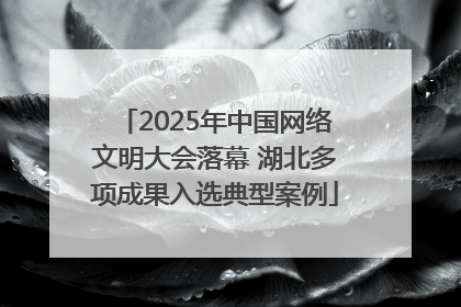 2025年中国网络文明大会落幕 湖北多项成果入选典型案例