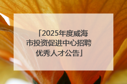2025年度威海市投资促进中心招聘优秀人才公告