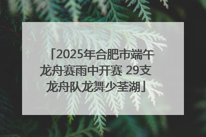 2025年合肥市端午龙舟赛雨中开赛 29支龙舟队龙舞少荃湖