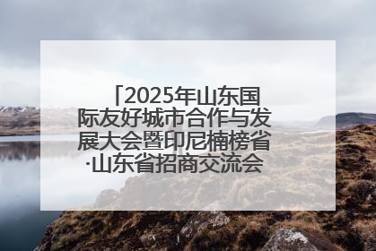 2025年山东国际友好城市合作与发展大会暨印尼楠榜省·山东省招商交流会在济南槐荫举行