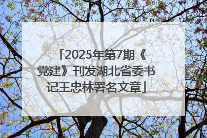 2025年第7期《党建》刊发湖北省委书记王忠林署名文章