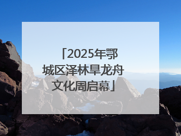 2025年鄂城区泽林旱龙舟文化周启幕