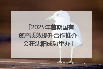 2025年首期国有资产质效提升合作推介会在沈阳成功举办