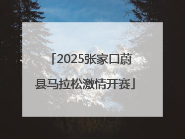 2025张家口蔚县马拉松激情开赛