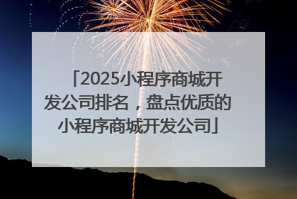2025小程序商城开发公司排名，盘点优质的小程序商城开发公司