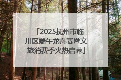 2025抚州市临川区端午龙舟赛暨文旅消费季火热启幕