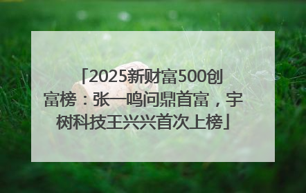 2025新财富500创富榜：张一鸣问鼎首富，宇树科技王兴兴首次上榜