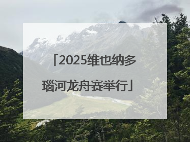 2025维也纳多瑙河龙舟赛举行