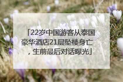 22岁中国游客从泰国豪华酒店21层坠楼身亡，生前最后对话曝光