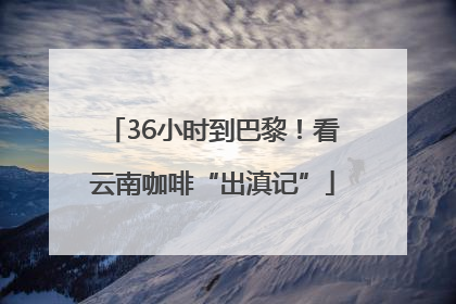 36小时到巴黎！看云南咖啡“出滇记”