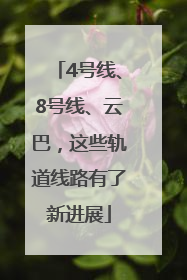4号线、8号线、云巴，这些轨道线路有了新进展