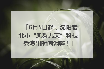 6月5日起，沈阳老北市“凤舞九天”科技秀演出时间调整！