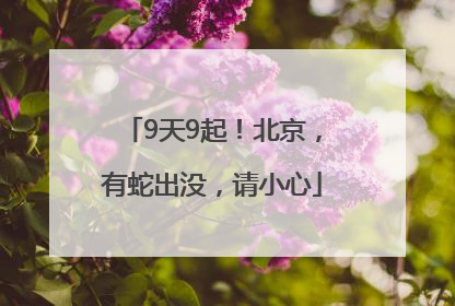 9天9起！北京，有蛇出没，请小心