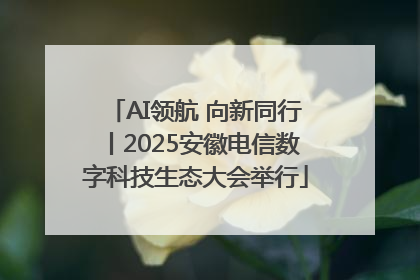 AI领航 向新同行丨2025安徽电信数字科技生态大会举行