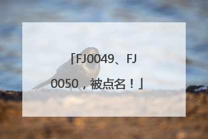 FJ0049、FJ0050，被点名！