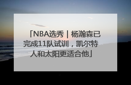 NBA选秀｜杨瀚森已完成11队试训，凯尔特人和太阳更适合他