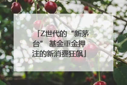 Z世代的“新茅台” 基金重金押注的新消费狂飙